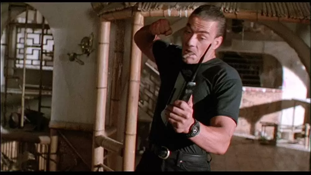 ダブル・インパクトの画像