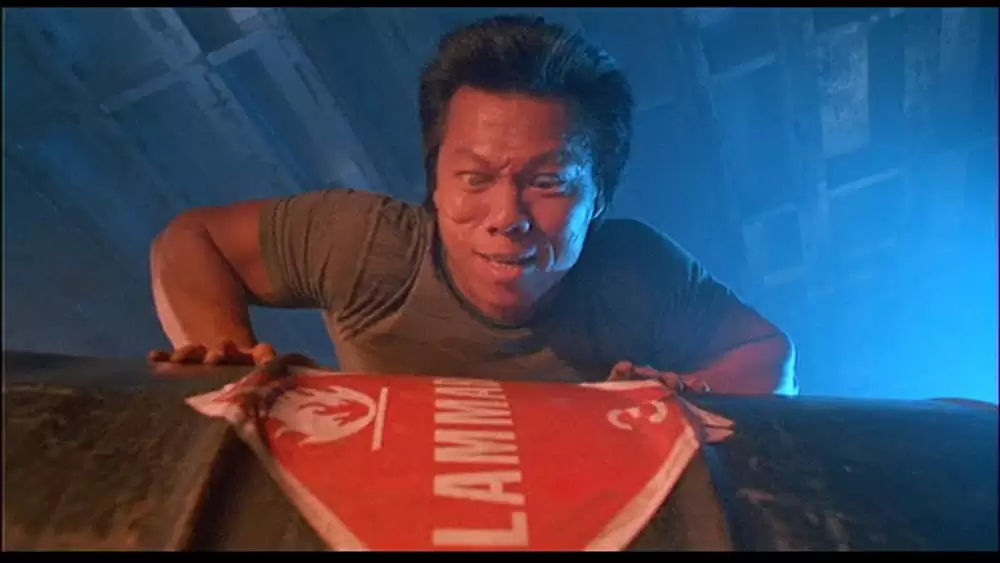 「ダブル・インパクト」楊斯の画像