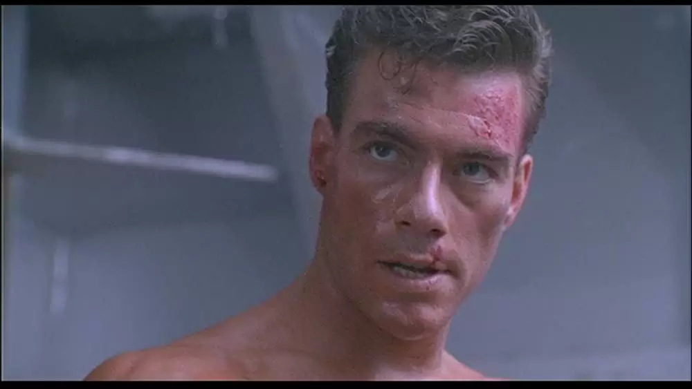 ダブル・インパクトの画像