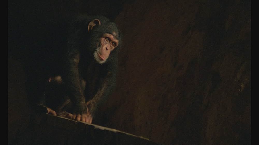 艶獄戦士アマゾンズの画像