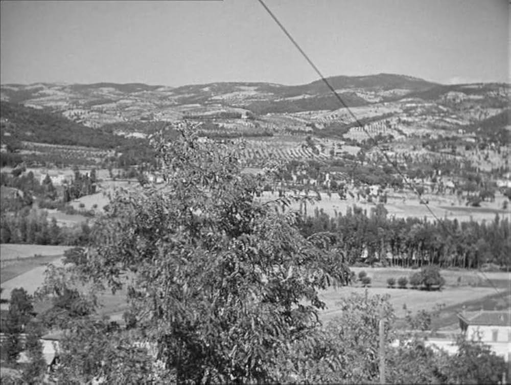 Treno popolare（原題）の画像