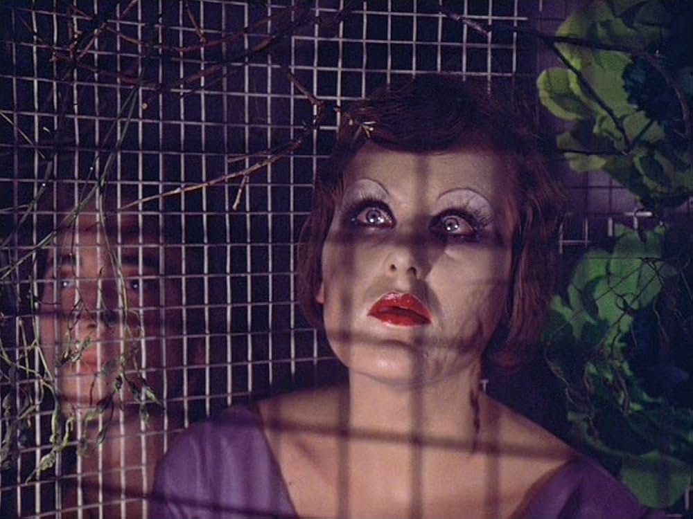 マリア・マリブランの死の画像