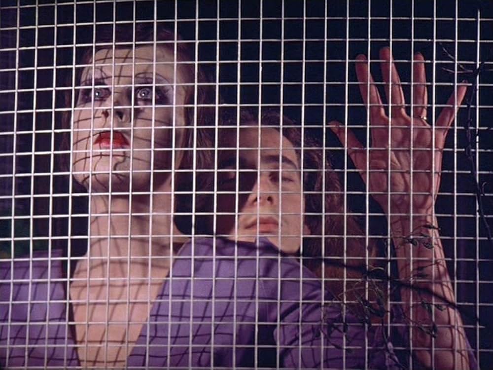 マリア・マリブランの死の画像