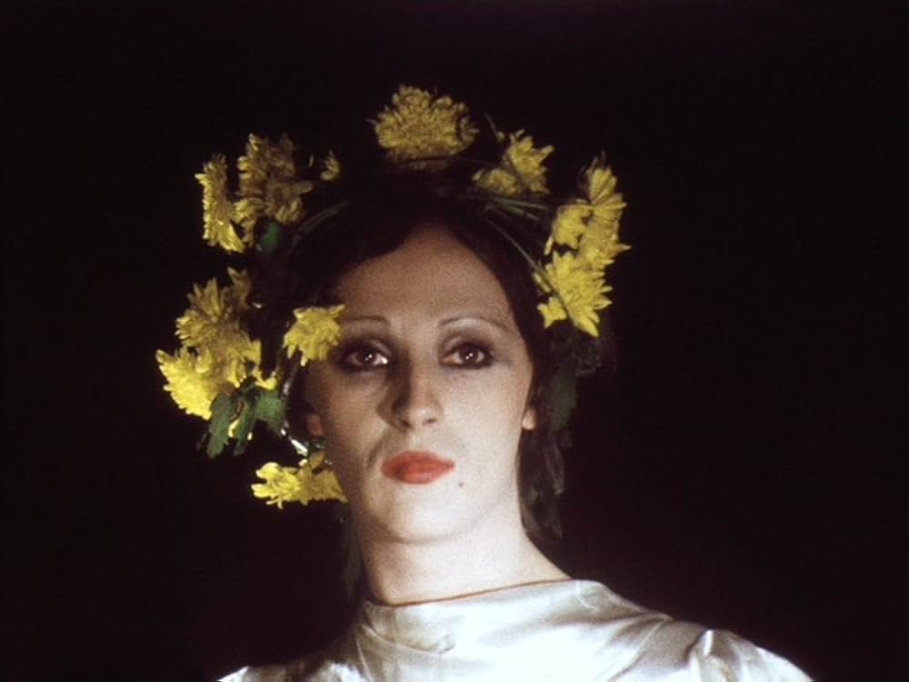 マリア・マリブランの死の画像