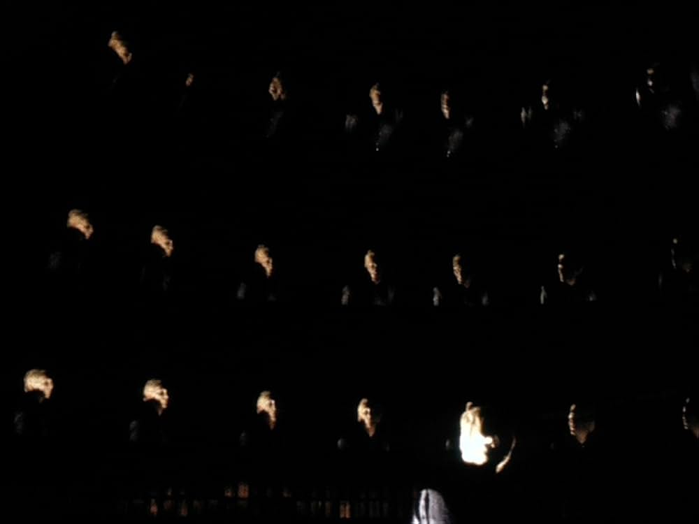 マリア・マリブランの死の画像