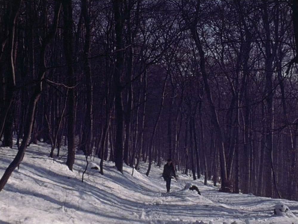 マリア・マリブランの死の画像