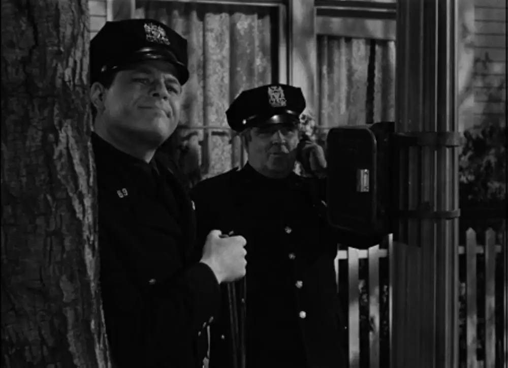 「毒薬と老嬢」の画像