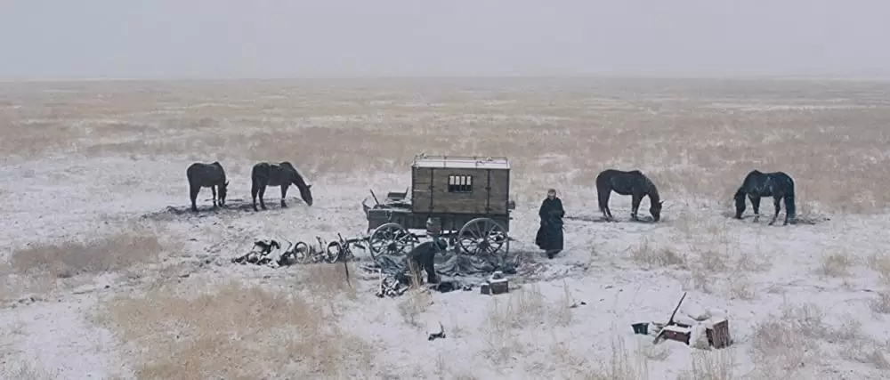 ミッション・ワイルドの画像