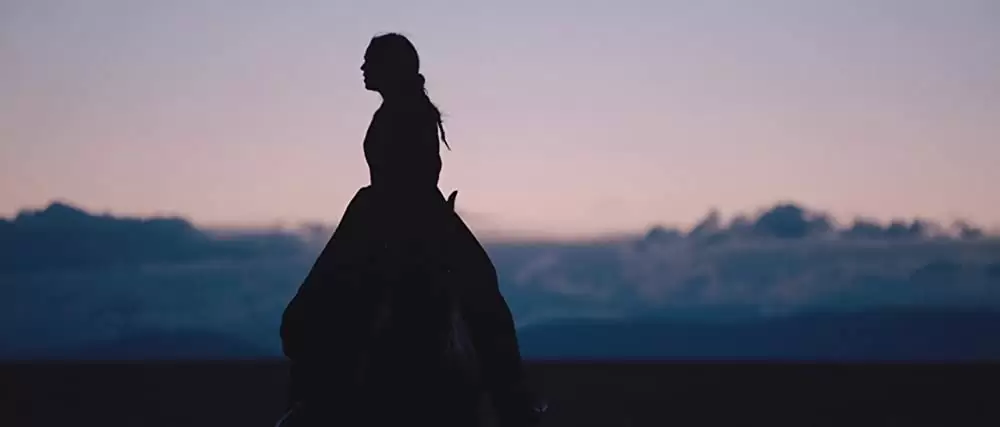 ミッション・ワイルドの画像