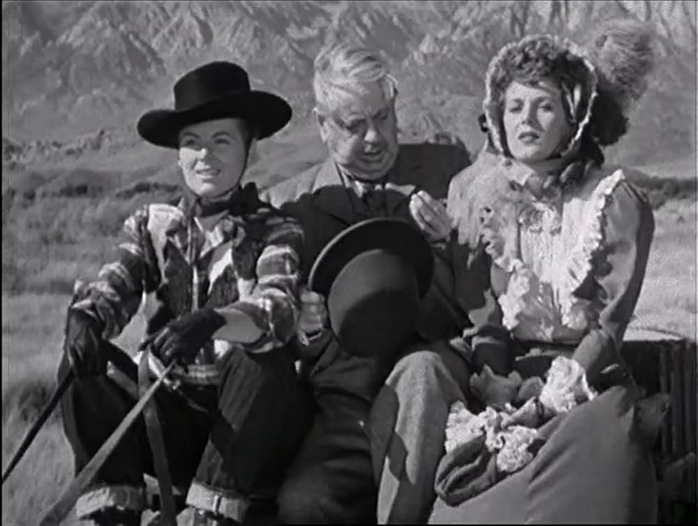 侠勇二挺拳銃の写真