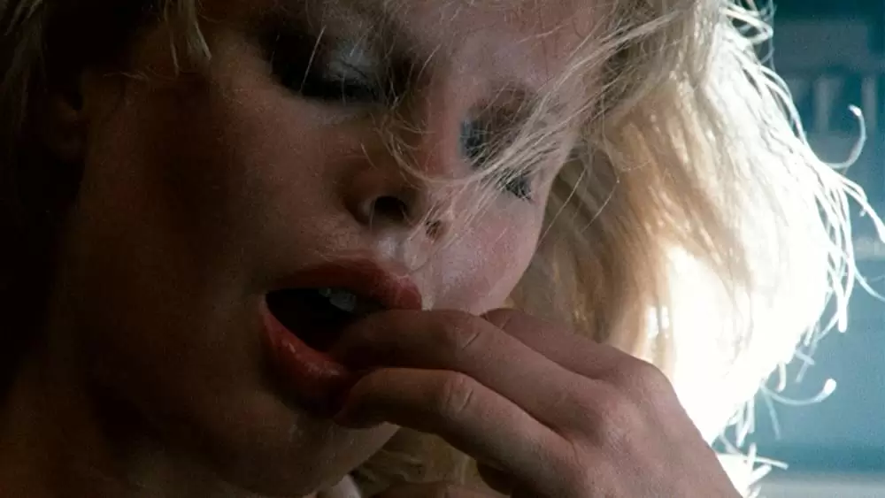 ナインハーフの画像