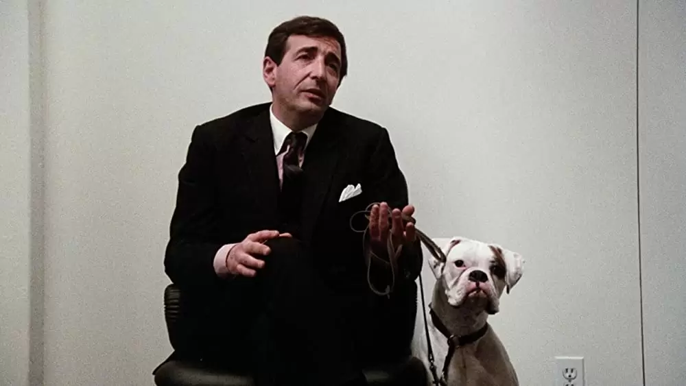 ナインハーフの画像