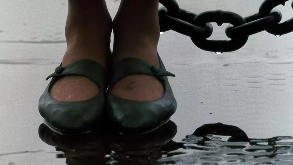 ナインハーフの画像