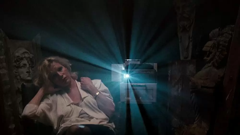 ナインハーフの画像