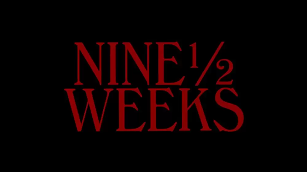 ナインハーフの画像