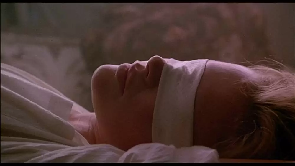 ナインハーフの画像