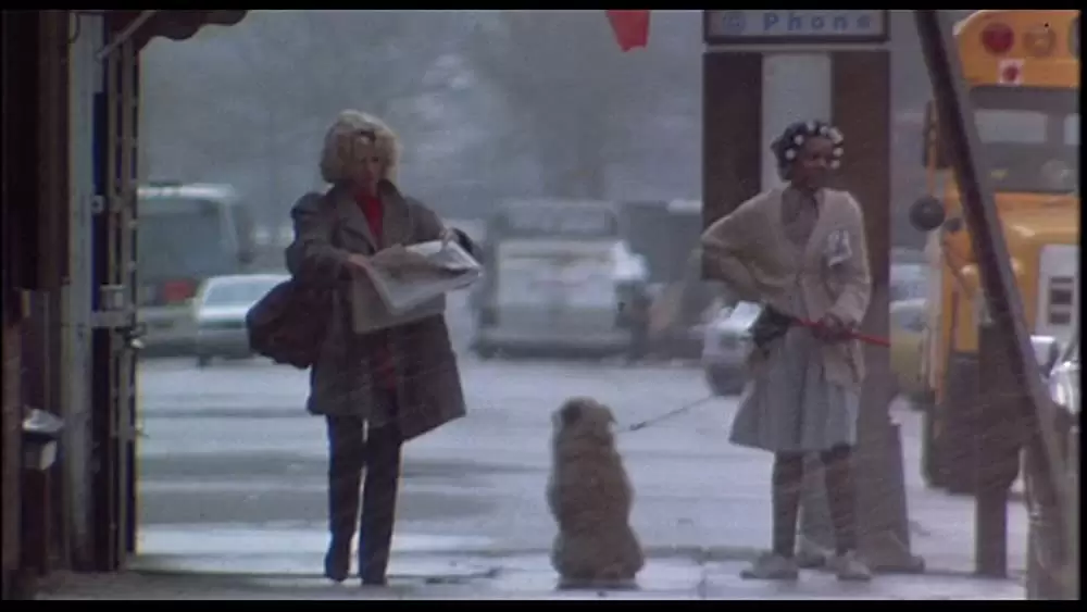 ナインハーフの画像