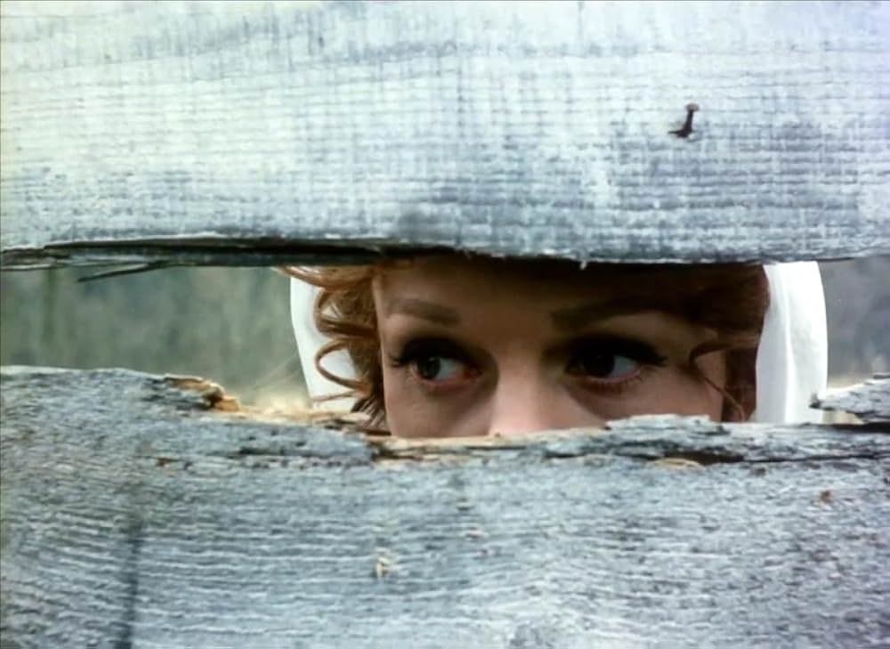 Petrolejové lampy（原題）の画像