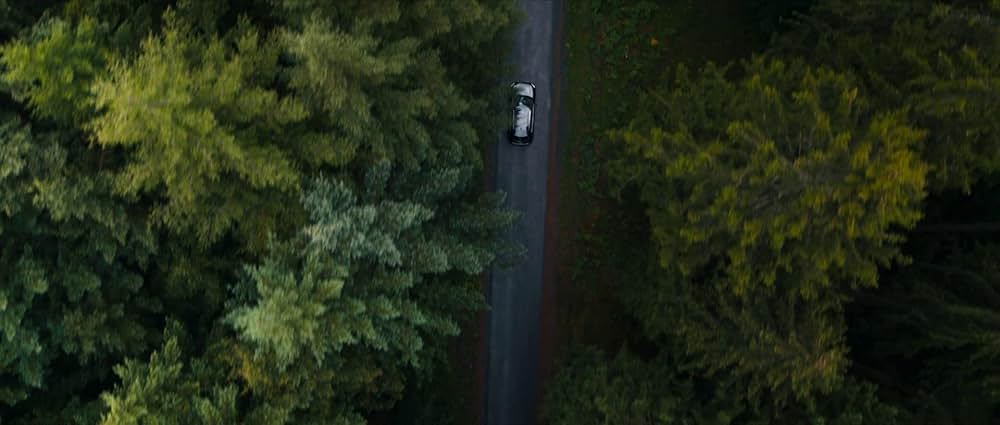 Inexorable（原題）の画像