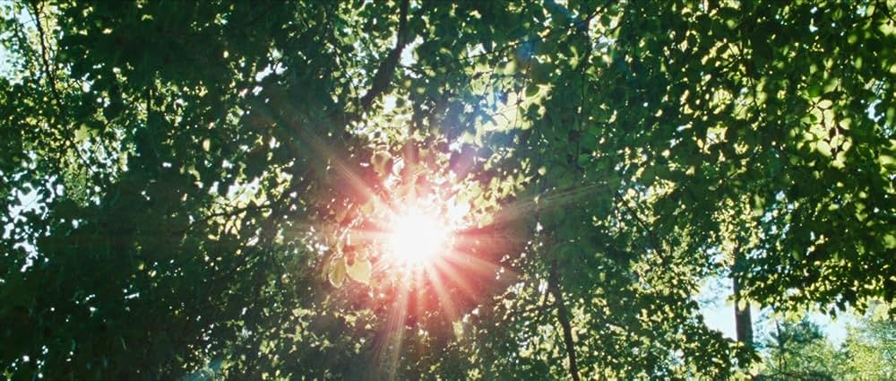 Inexorable（原題）の画像