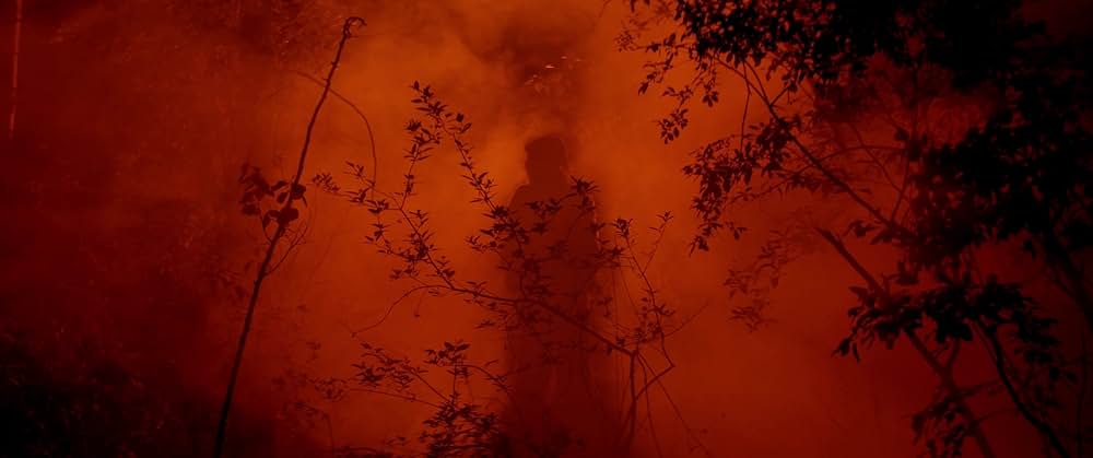 Ditched（原題）の画像