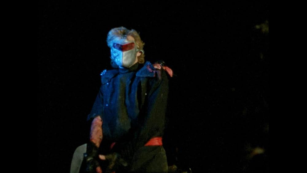 Robot Ninja（原題）の画像