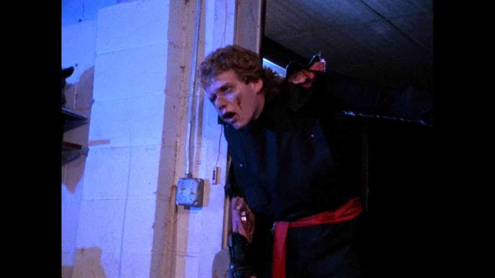 Robot Ninja（原題）の画像