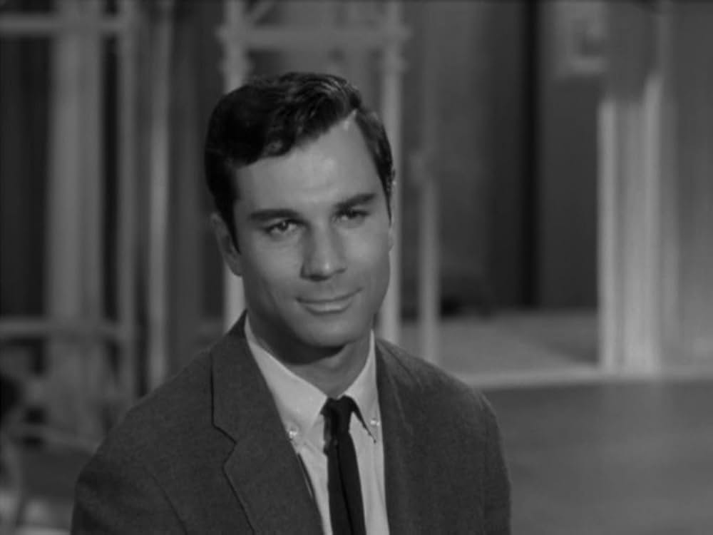 シルビアの画像