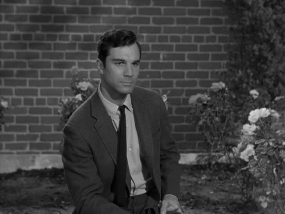 シルビアの画像