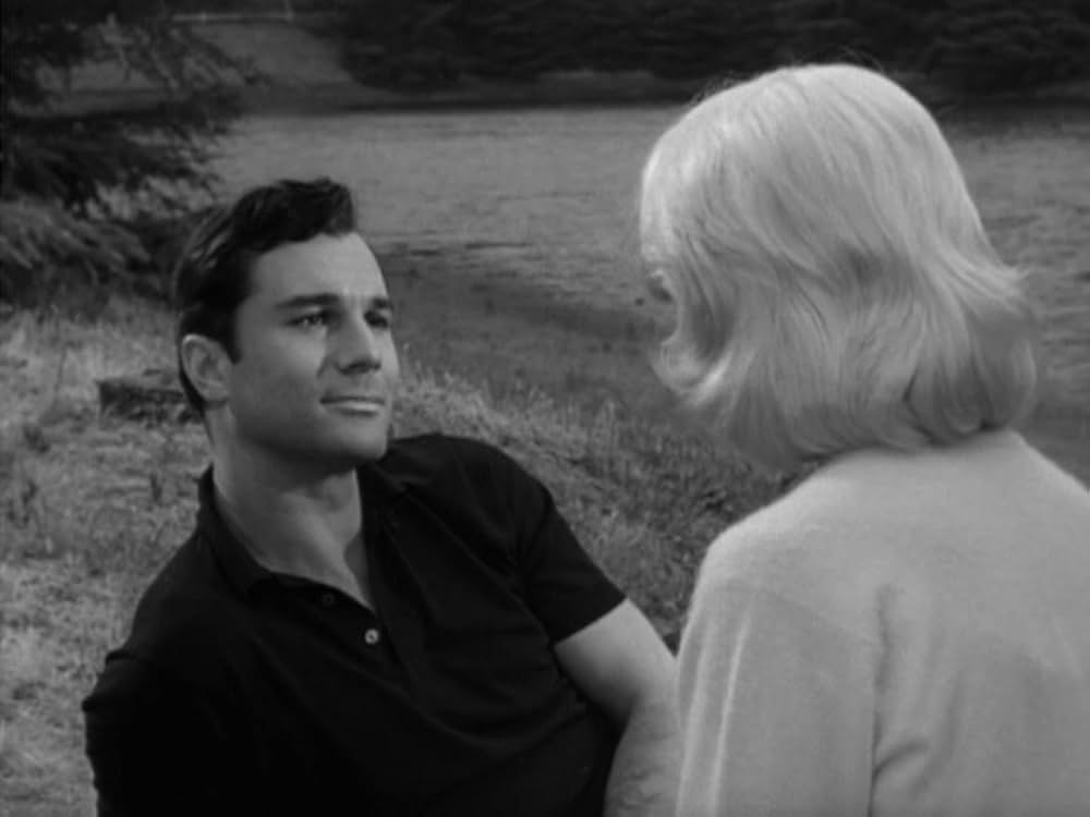 シルビアの画像