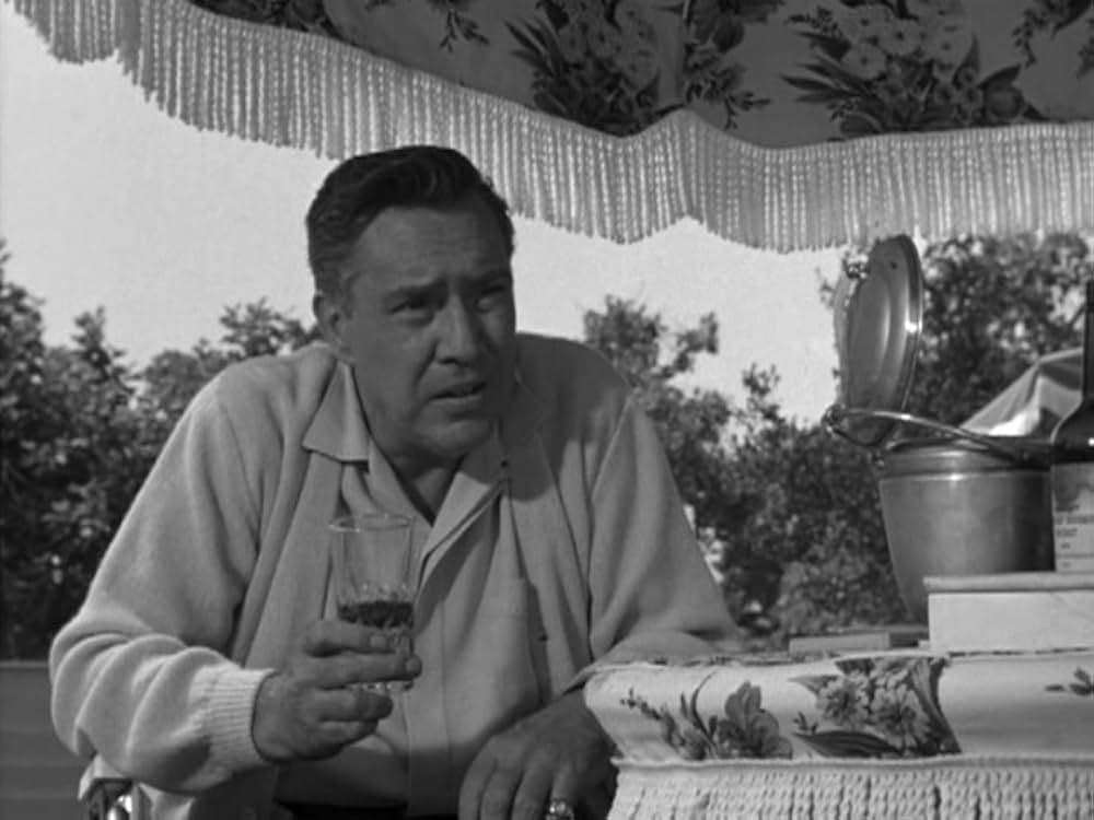 シルビアの画像