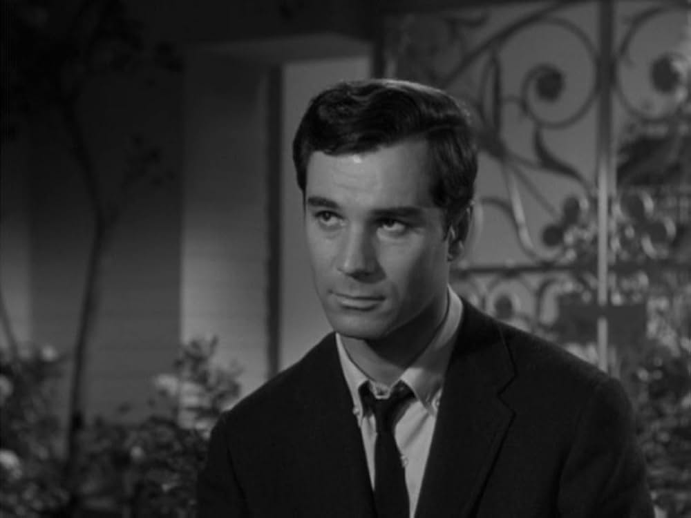 シルビアの画像