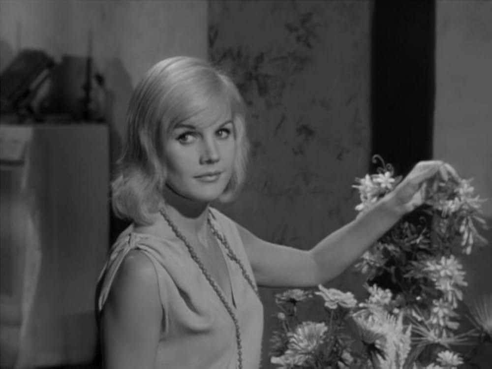 シルビアの画像