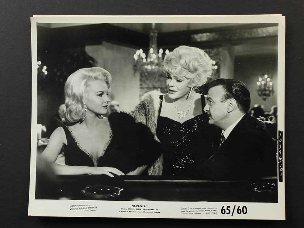 シルビアの画像