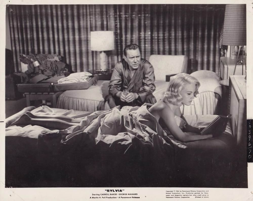 シルビアの画像