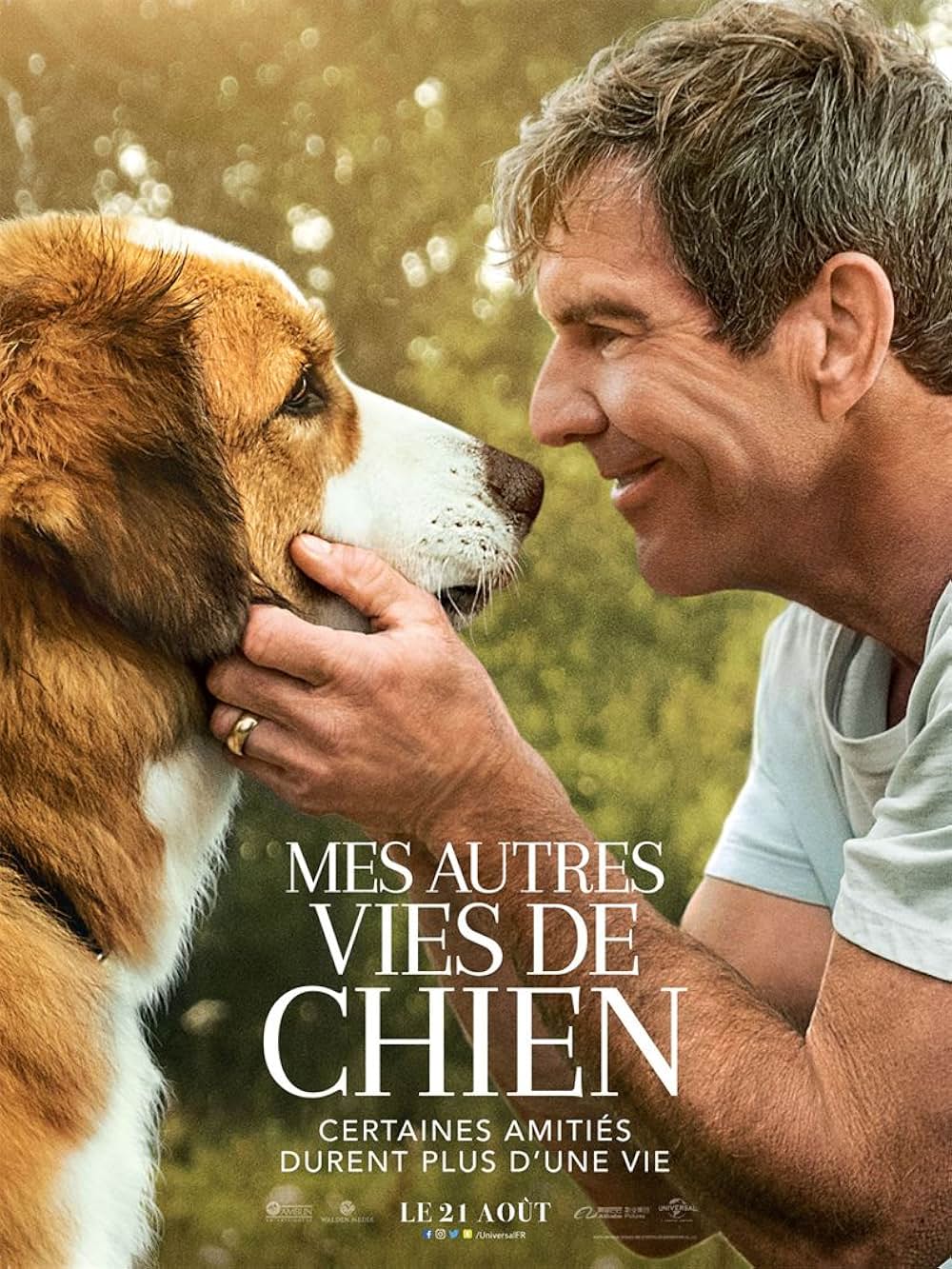 僕のワンダフル・ジャーニーの画像