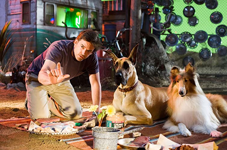 サーフィン ドッグの画像