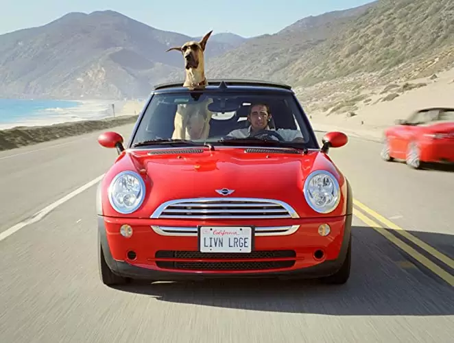 「サーフィン ドッグ」オーウェン・ウィルソン & リー・ペイスの画像