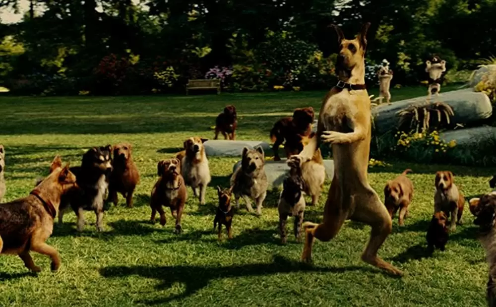 サーフィン ドッグの画像