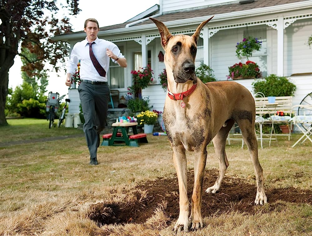 サーフィン ドッグの画像