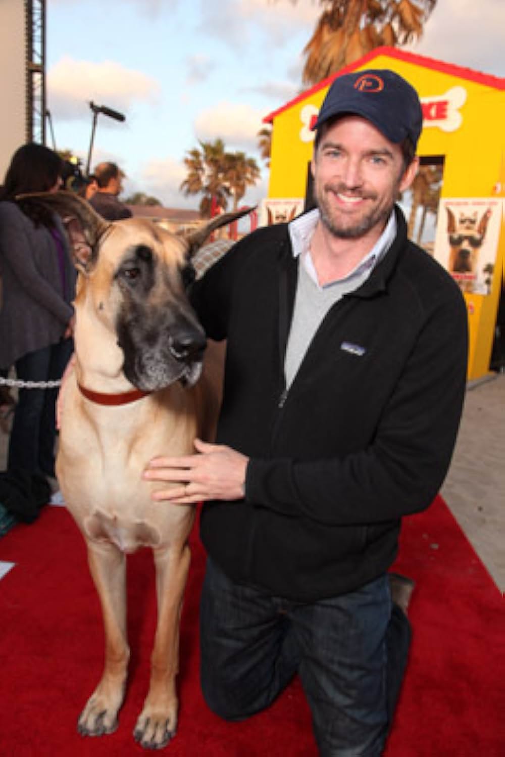 サーフィン ドッグの画像