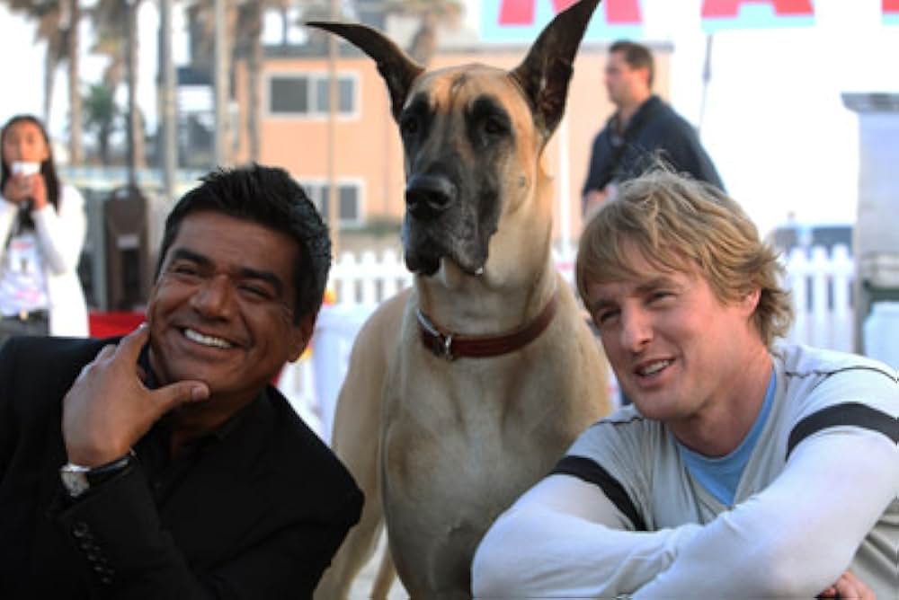 サーフィン ドッグの画像