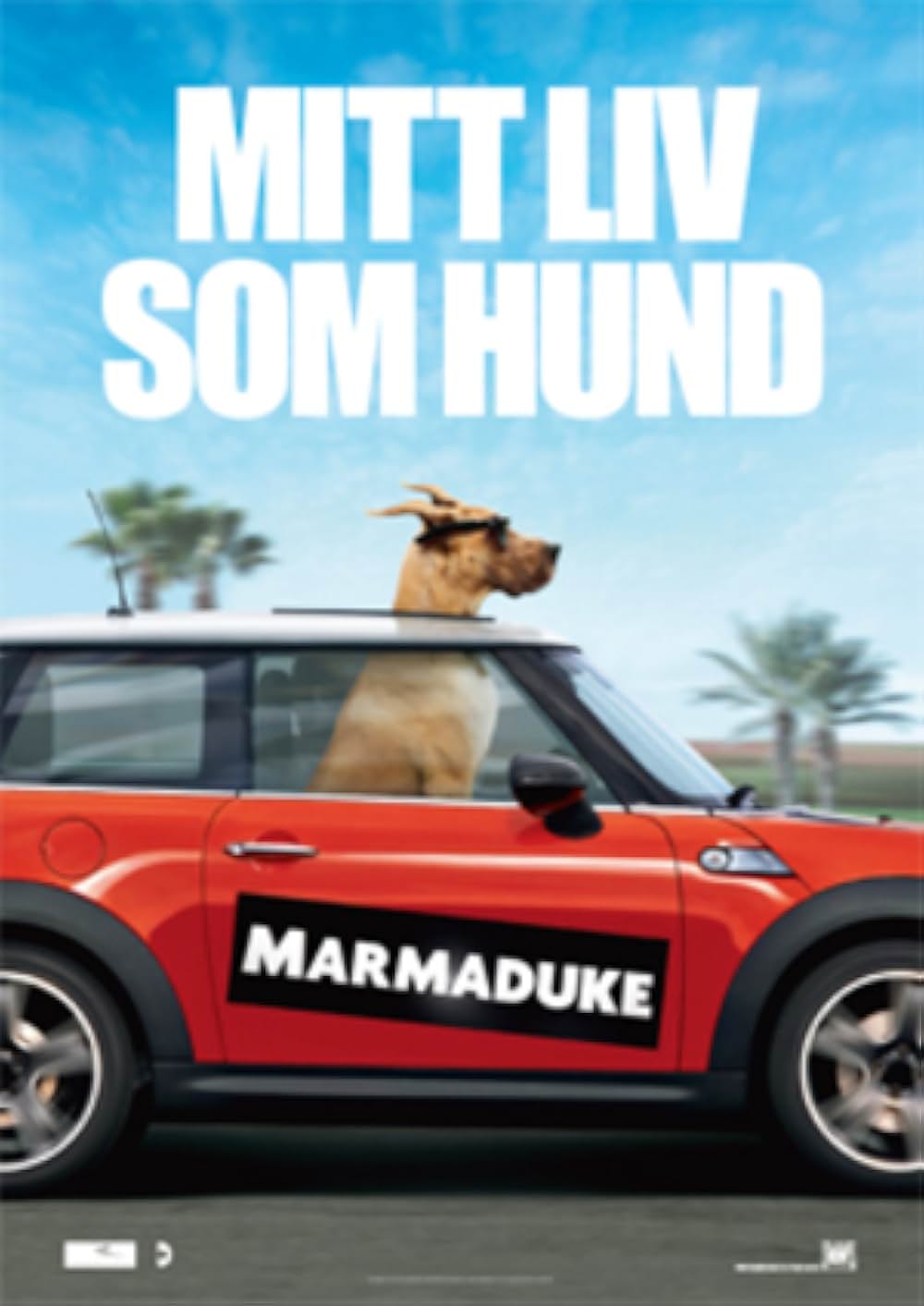 サーフィン ドッグの画像