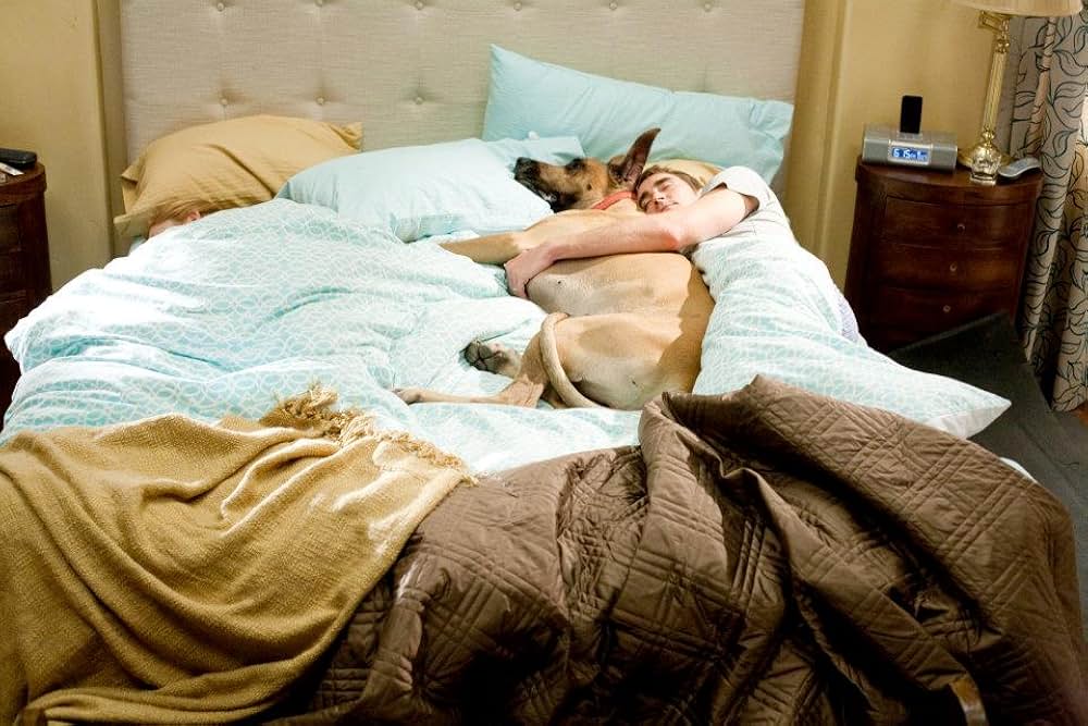 サーフィン ドッグの画像