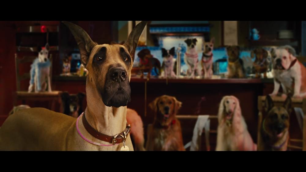 サーフィン ドッグの画像