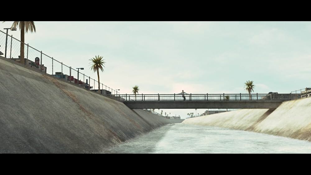 サーフィン ドッグの画像