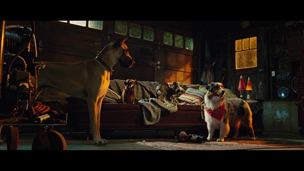 サーフィン ドッグの画像