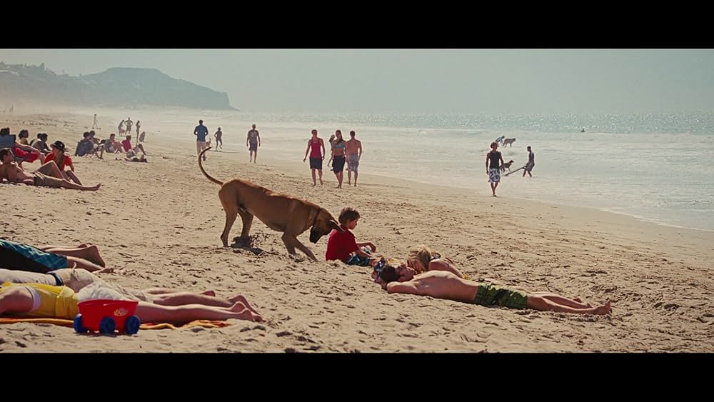 サーフィン ドッグの画像