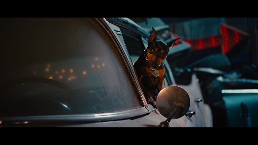 サーフィン ドッグの画像