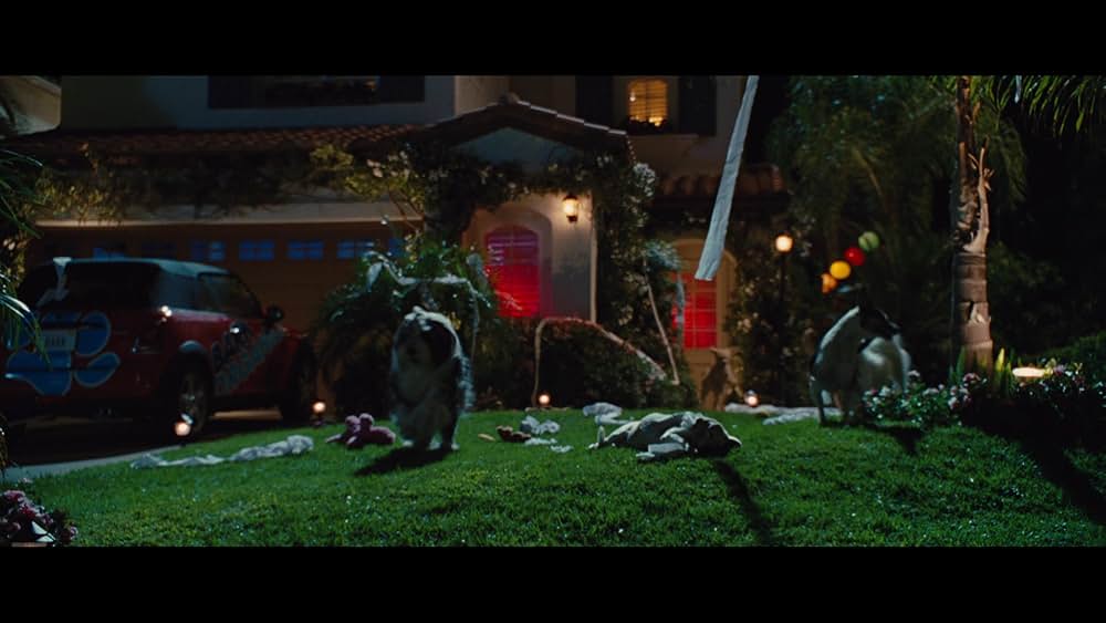 サーフィン ドッグの画像